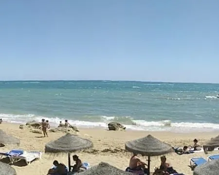 Rana D'oiro * Albufeira